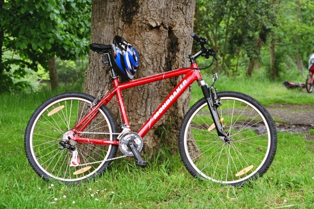  Mountain bike 